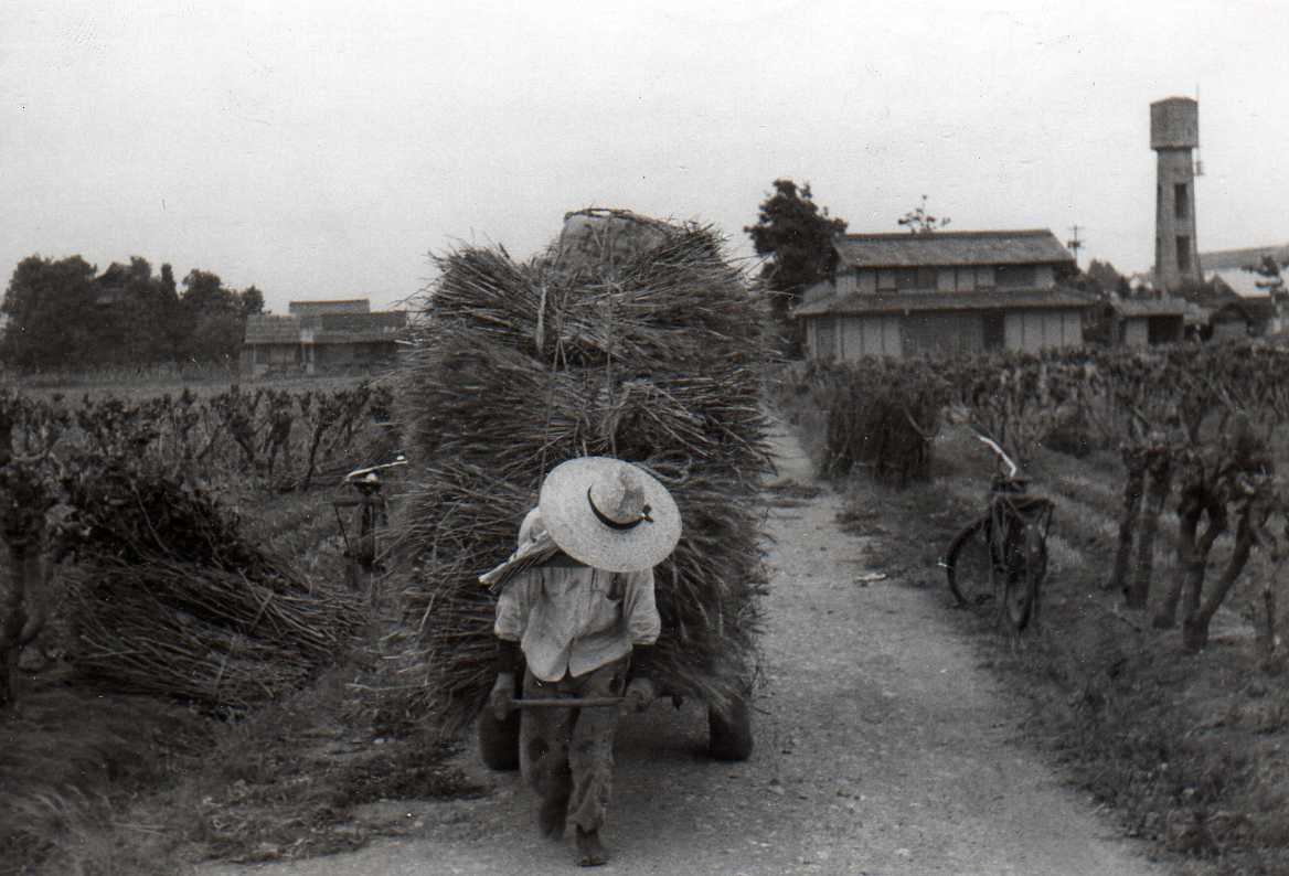 Image 50